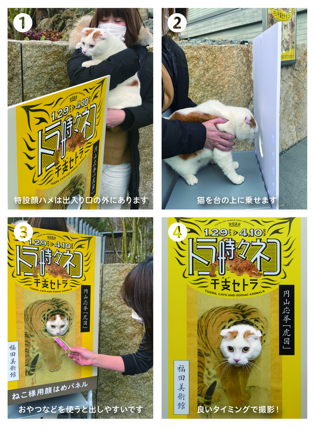 ねこ様用顔はめパネルを設置 | 京都・嵯峨嵐山 福田美術館 -FUKUDA ART 